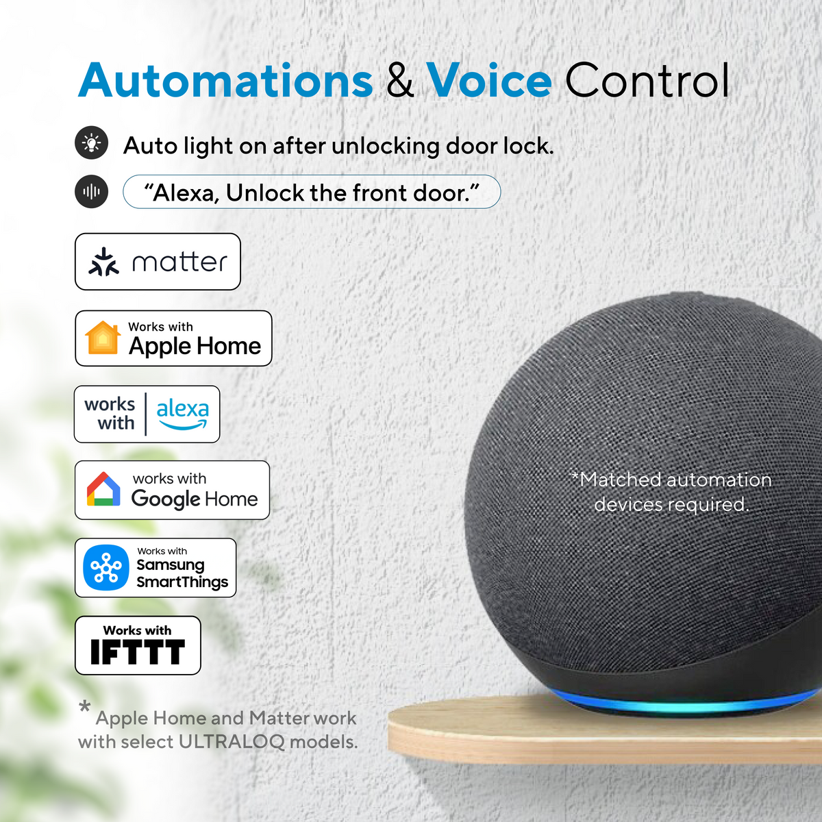 Smart lock supporting voice control and smart home automations