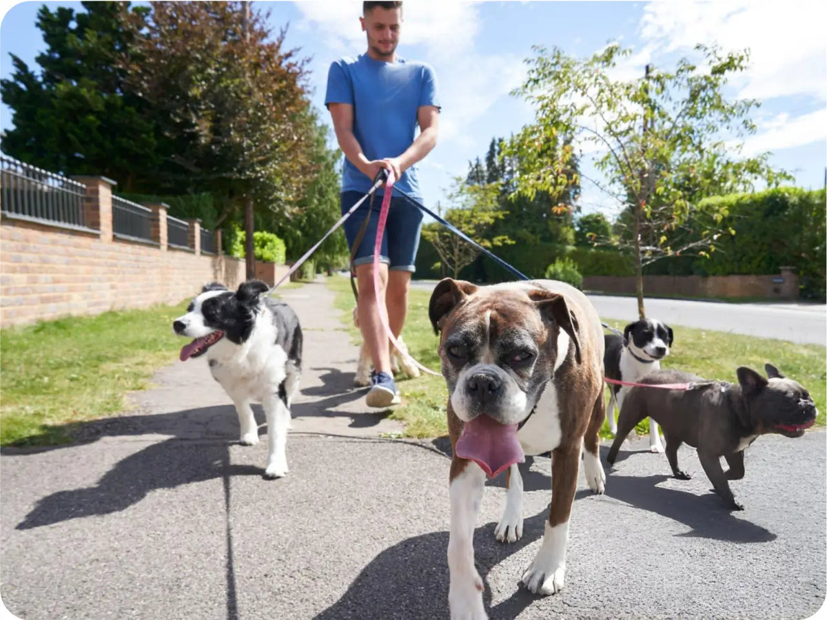 
Pet Owners — There's an ULTRALOQ for everyone
