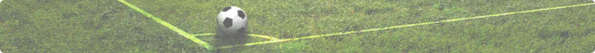 Soccer ball on a grass field